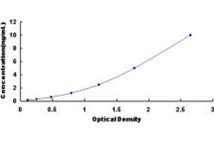 Typical standard curve (KIF20A ELISA Kit)