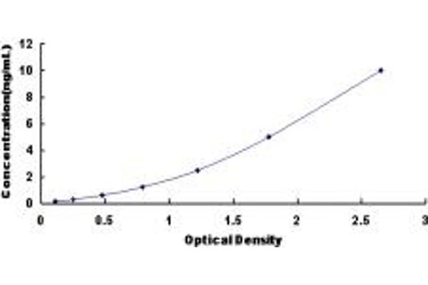 KIF20A ELISA Kit