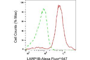 Flow cytometric analysis of LARP1B expression in HAP-1 cells using LARP1B antibody (ABIN7799223), 1:2,000).