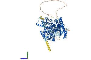 Protein Structure (PS) image for Phosphoinositide-3-Kinase, Class 3 (PIK3C3) (AA 1-887) protein (His tag) (ABIN7555003)