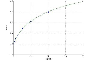 Calpain 6 (CAPN6) ELISA Kit