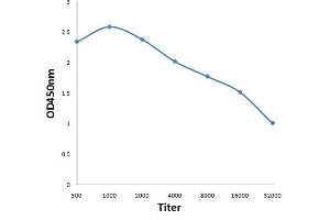 Antigen: 0. (NCOA3 antibody  (pThr24))
