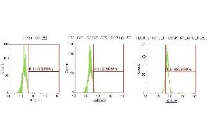 Flow Cytometry (FACS) image for anti-Casein Kinase 1, alpha 1 (CSNK1A1) (AA 1-337) antibody (APC) (ABIN5565050) (CSNK1A1 antibody  (AA 1-337) (APC))