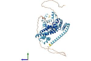AlphaFold protein structure predicition of Human Recombinant NOP56 Protein, UniprotID O00567