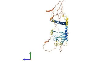 AlphaFold protein structure predicition of Human Recombinant MCIDAS Protein, UniprotID D6RGH6