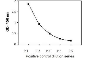 ZR751 cells were treated with b-estradiol at 37°C for 1 hours. (Estrogen Receptor alpha ELISA Kit)