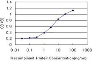 Detection limit for recombinant GST tagged ALG8 is approximately 0. (ALG8 antibody  (AA 260-334))