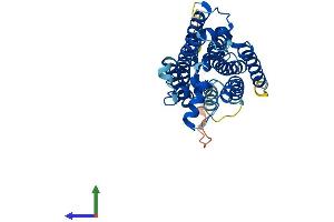 AlphaFold protein structure predicition of Mouse Recombinant Paqr9 Protein, UniprotID Q6TCG2 (PAQR9 Protein (AA 1-375) (His tag))