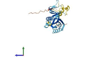Protein Structure (PS) image for Tumor Protein P63 Regulated 1-Like (TPRG1L) (AA 1-266) protein (His tag) (ABIN7561297)