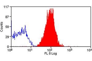 Image no. 1 for anti-CD97 (CD97) antibody (APC) (ABIN576863) (CD97 antibody  (APC))