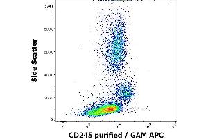 Flow cytometry surface staining pattern of human peripheral whole blood stained using anti-human CD245 (DY12) purified antibody (concentration in sample 1. (CD245 antibody)