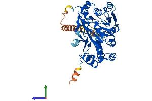 AlphaFold protein structure predicition of Mouse Recombinant Galntl5 Protein, UniprotID Q9D4M9 (GALNTL5 Protein (AA 1-431) (His tag))
