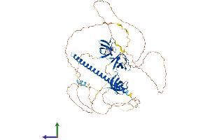 AlphaFold protein structure predicition of Mouse Recombinant Cd2ap Protein, UniprotID Q9JLQ0 (CD2AP Protein (AA 1-637) (His tag))