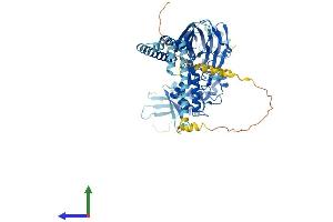 Protein Structure (PS) image for Sodium Channel, Nonvoltage-Gated 1, beta (SCNN1B) (AA 1-640) protein (His tag) (ABIN7555395)