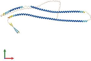 AlphaFold protein structure predicition of Human Recombinant KRT17 Protein, UniprotID Q04695 (KRT17 Protein (AA 1-432) (His tag))