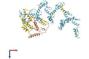 AlphaFold protein structure predicition of Human Recombinant ZNF840P Protein, UniprotID A6NDX5 (ZNF840 Protein (AA 1-716) (His tag))