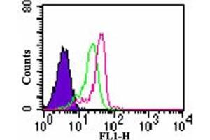 Image no. 3 for anti-Toll-Like Receptor 7 (TLR7) (AA 706-728) antibody (FITC) (ABIN956807) (TLR7 antibody  (AA 706-728) (FITC))