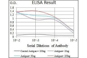 Red: Control Antigen (100 ng), Purple: Antigen (10 ng), Green: Antigen (50 ng), Blue: Antigen (100 ng), (CCAR2 antibody)