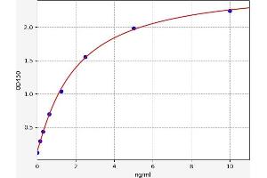 Typical standard curve (EIF2S1 ELISA Kit)