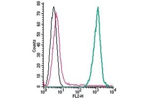 Cell surface detection of TREM2 by direct flow cytometry in live intact mouse J774 macrophage cells: (black line) Cells. (TREM2 antibody  (Extracellular) (PE))