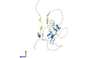 AlphaFold protein structure predicition of Human Recombinant MIER1 Protein, UniprotID Q8N108