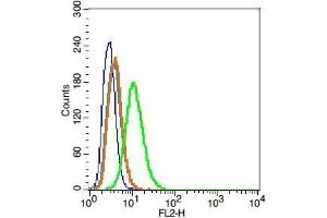 RSC96 cells probed with Caveolin-1 Polyclonal Antibody, Unconjugated  at 1:100 for 30 minutes followed by incubation with a conjugated secondary (PE Conjugated) (green) for 30 minutes compared to control cells (blue), secondary only (light blue) and isotype control (orange). (Caveolin-1 antibody  (AA 2-120))