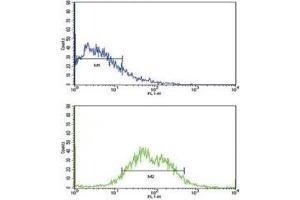 Flow cytometric analysis of HepG2 cells using ALK1 antibody (bottom histogram) compared to a negative control (top histogram). (ACVRL1 antibody  (AA 38-68))