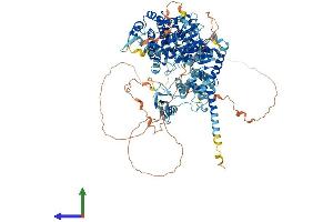 AlphaFold protein structure predicition of Human Recombinant ZRANB3 Protein, UniprotID Q5FWF4 (ZRANB3 Protein (AA 1-1079) (His tag))