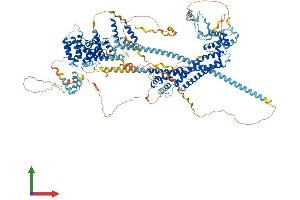 AlphaFold protein structure predicition of Mouse Recombinant Diaph1 Protein, UniprotID O08808 (DIAPH1 Protein (AA 1-1255) (His tag))
