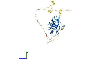 AlphaFold protein structure predicition of Mouse Recombinant Dcdc2c Protein, UniprotID Q9D1B8 (DCDC2C Protein (AA 1-347) (His tag))