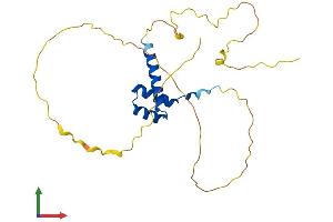 AlphaFold protein structure predicition of Human Recombinant DLX4 Protein, UniprotID Q92988