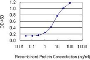 Detection limit for recombinant GST tagged ARPC5 is 0. (ARPC5 antibody  (AA 3-94))