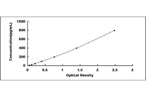 CMA1 ELISA Kit