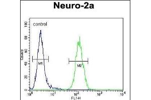 LCN10 Antibody (Center) (ABIN654544 and ABIN2844258) flow cytometric analysis of Neuro-2a cells (right histogram) compared to a negative control cell (left histogram). (LCN10 antibody  (AA 94-123))