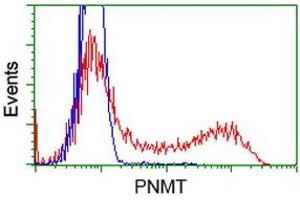 HEK293T cells transfected with either RC206586 overexpress plasmid (Red) or empty vector control plasmid (Blue) were immunostained by anti-PNMT antibody (ABIN2454537), and then analyzed by flow cytometry. (PNMT antibody)