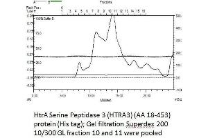 Size-exclusion chromatography-High Pressure Liquid Chromatography (SEC-HPLC) image for HtrA Serine Peptidase 3 (HTRA3) (AA 18-453) protein (His tag) (ABIN3092994) (HTRA3 Protein (AA 18-453) (His tag))