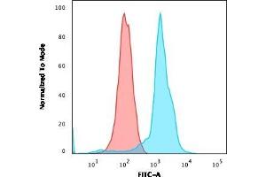 Flow Cytometric Analysis of MOLT-4 cells. (CD6 antibody)