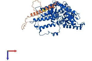 GAD Protein (AA 1-593) (His tag)