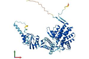 AlphaFold protein structure predicition of Human Recombinant CCT7 Protein, UniprotID Q99832