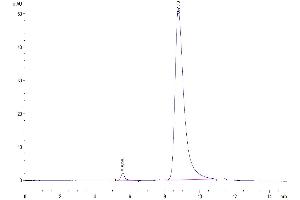 The purity of Mouse GIP is greater than 95 % as determined by SEC-HPLC. (GIP Protein (AA 22-85) (Fc Tag))