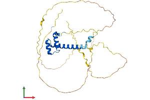 Protein Structure (PS) image for Msh Homeobox 1 (MSX1) (AA 1-303) protein (His tag) (ABIN7549531)