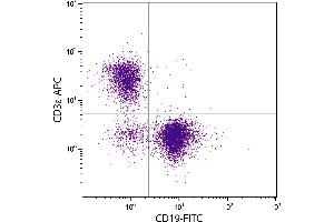 BALB/c mouse splenocytes were stained with Rat Anti-Mouse CD3ε-APC. (CD3 epsilon antibody  (APC))