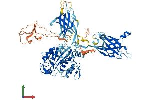 AlphaFold protein structure predicition of Human Recombinant CPNE7 Protein, UniprotID Q9UBL6