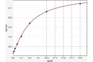 ANKRD1 ELISA Kit