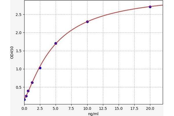 ANKRD1 ELISA Kit