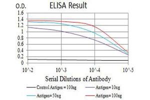 Black line: Control Antigen (100 ng),Purple line: Antigen (10 ng), Blue line: Antigen (50 ng), Red line:Antigen (100 ng) (GRIK2 antibody  (AA 45-226))