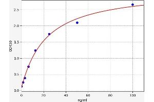 Typical standard curve (Meprin B ELISA Kit)