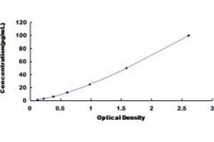 Typical standard curve (Osteocalcin ELISA Kit)