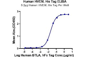 ELISA image for Tumor Necrosis Factor Receptor Superfamily, Member 14 (TNFRSF14) (AA 39-202) protein (His tag) (ABIN7274831)