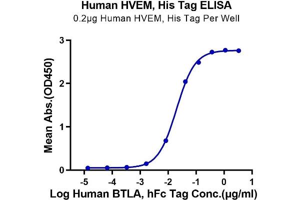 HVEM Protein (AA 39-202) (His tag)